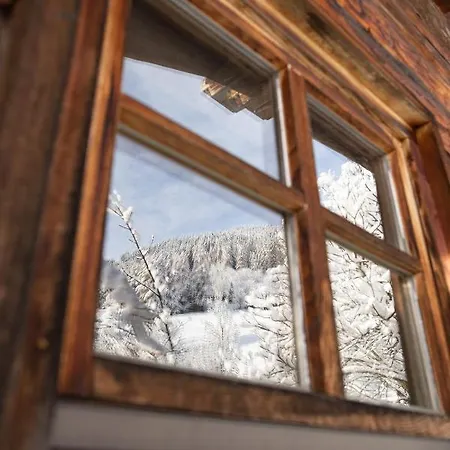 Apartament Luxury Biochalet Charles Bad Kleinkirchheim